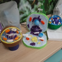 Kreatywnie na biologii i geografii- modele naukowe (6)