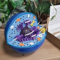 Kreatywnie na biologii i geografii- modele naukowe (7)